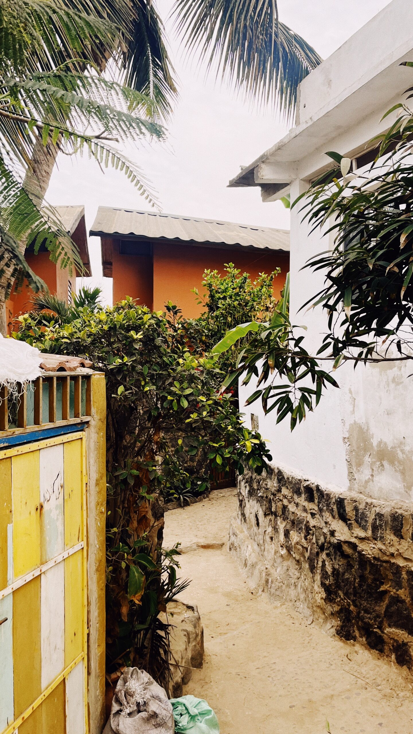 Processed with VSCO with kp8 preset