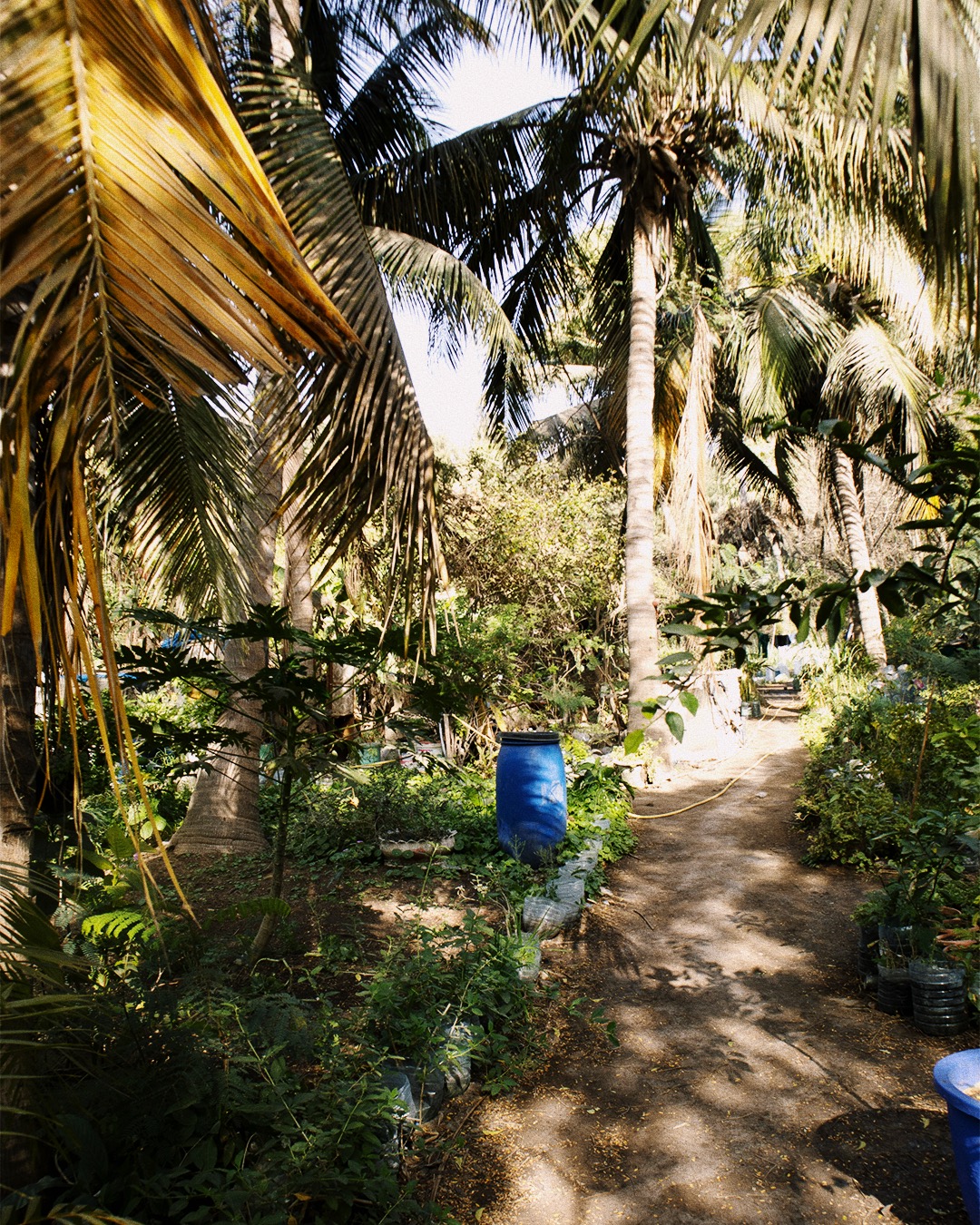 Processed with VSCO with fs4 preset